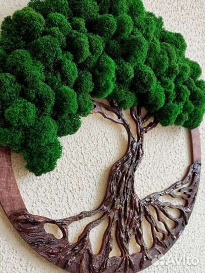 Дерево стабилизированный мох