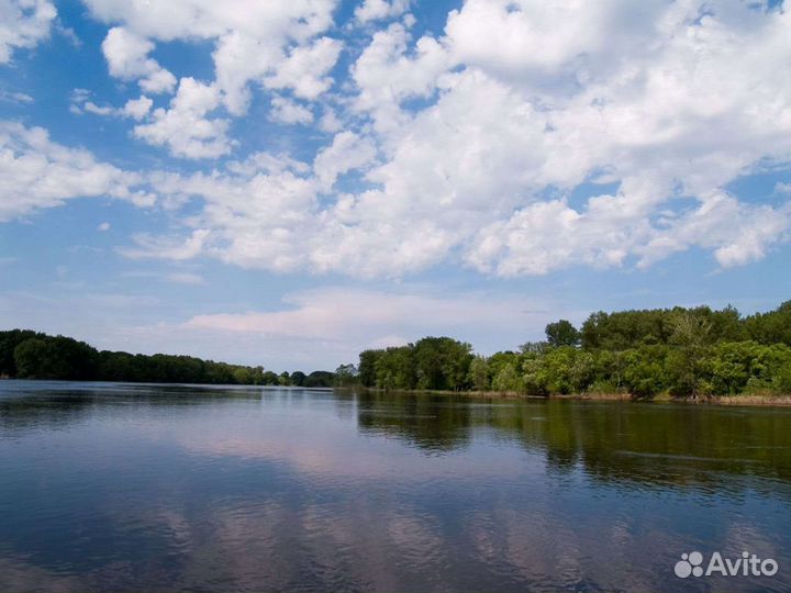 Продажа крс