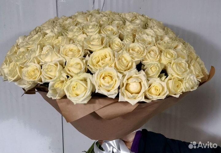 Букет роз. Розы