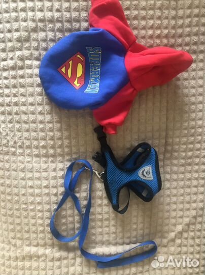 Шлейка для маленькой собаки