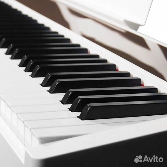 Цифровое пианино Nux (Комплект)