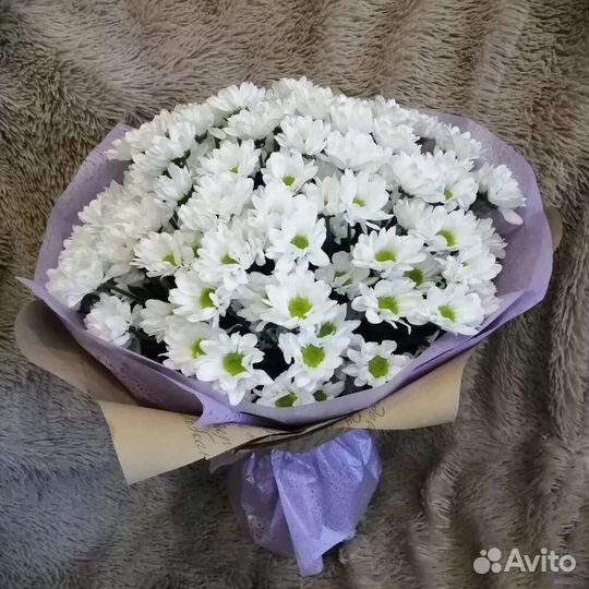 Ромашки кустовые букеты цветы