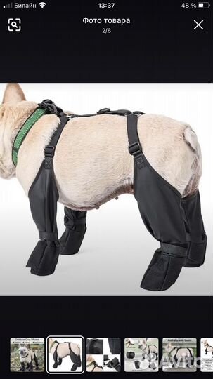 Ботики для собак на подтяжках