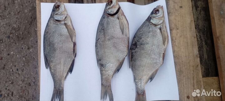 Астраханский вяленый лещ