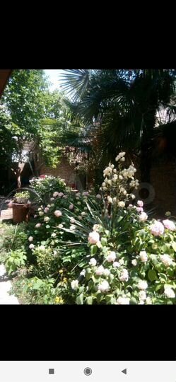 Комната 45 м², 1/3 эт.