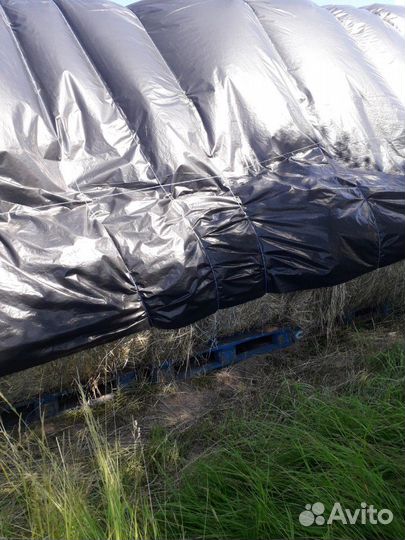 Сено в рулонах