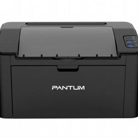 Pantum P2500W