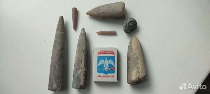 Окаменелости