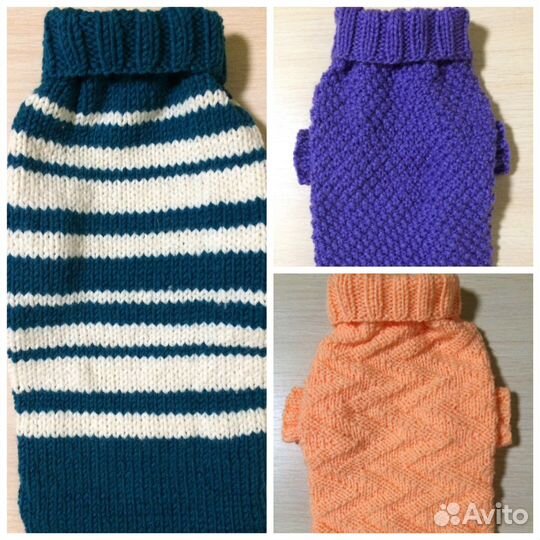 Одежда для животных