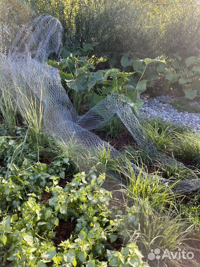 Скульптура девушки