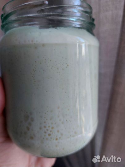 Закваска для хлеба