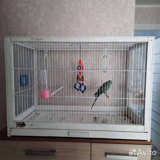 Клетка для попугая
