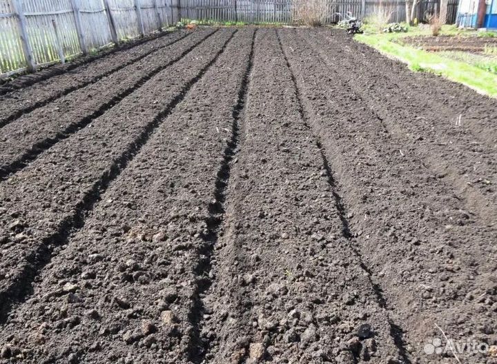 Вспашка земли мотоблоком культивация