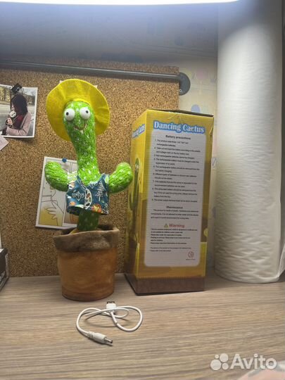 Танцующий кактус