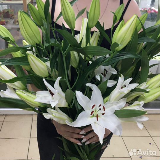 Букет из 5 лилий. Доставка