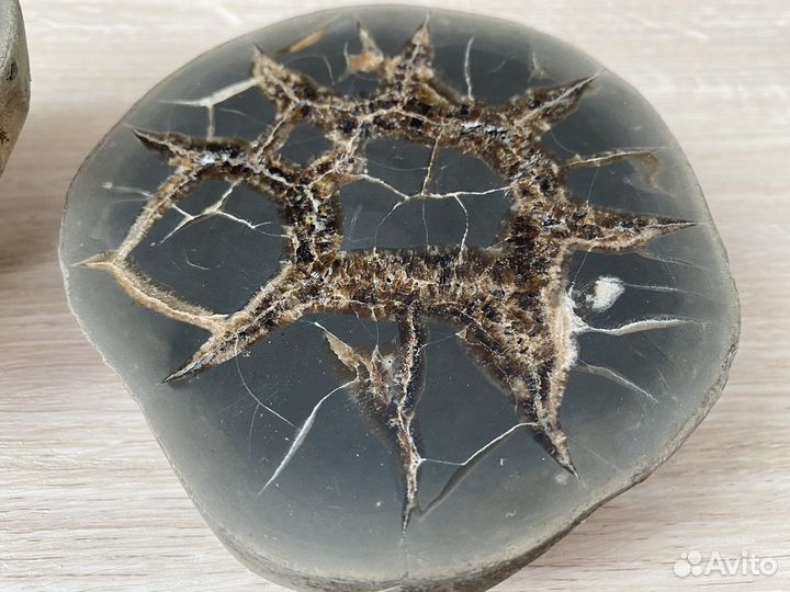 Септария камень минерал коллекция