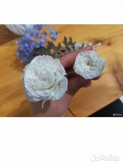 Стабилизированные бутоны роз