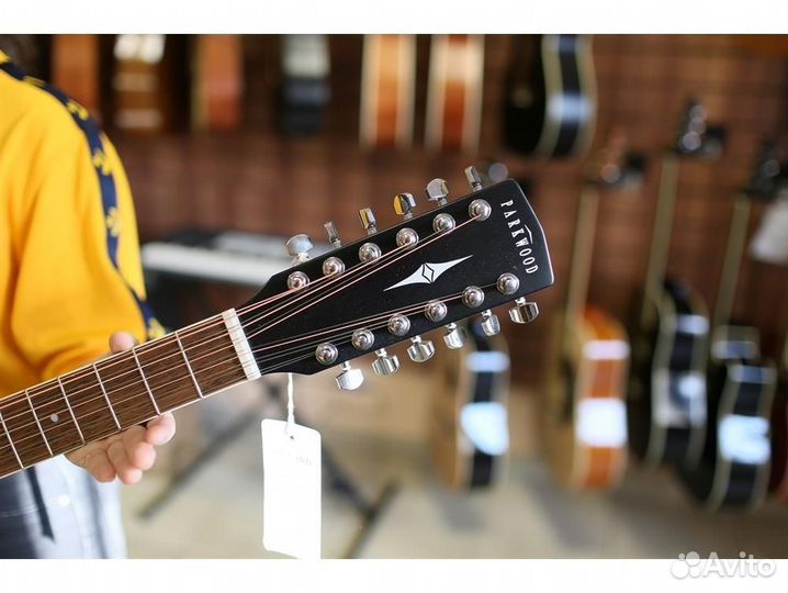 Parkwood W81-12-wbag-OP двенадцатиструнная гитара