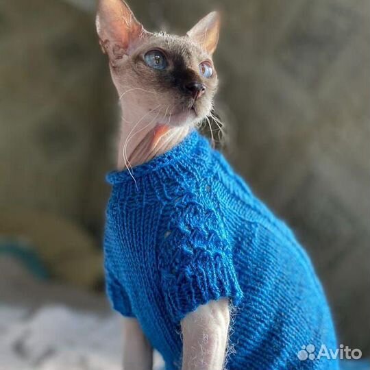 Одежда для кошек и собак