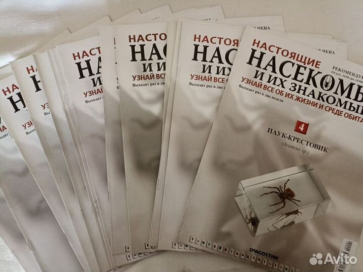 Журнал Настоящие Насекомые и их знакомые