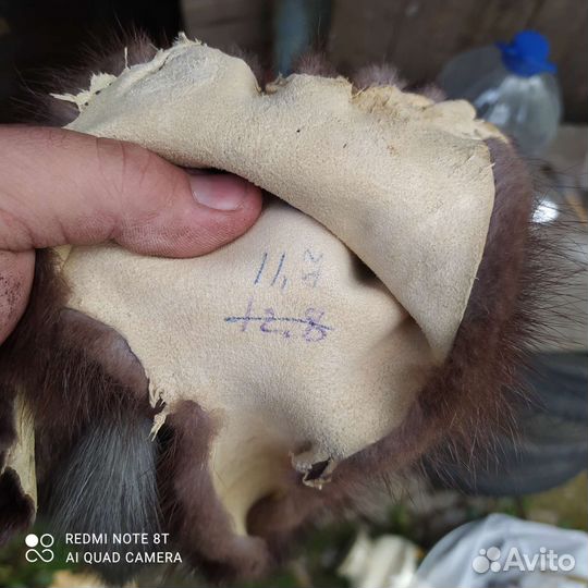 Шкурка животного норка