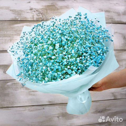 Букет из яркой Гипсофилы. Цветы с Доставкой