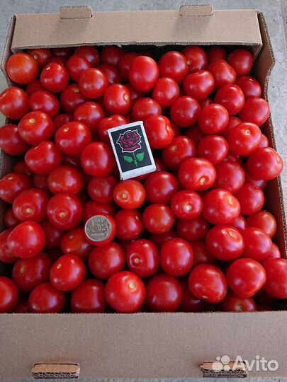 Помидоры черри(2024)