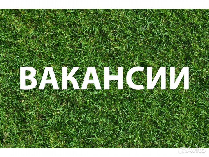 Требуется Стажёр-официант москва Б/опыта Еженед. а