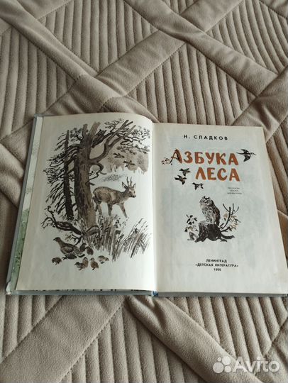 Книга детская 