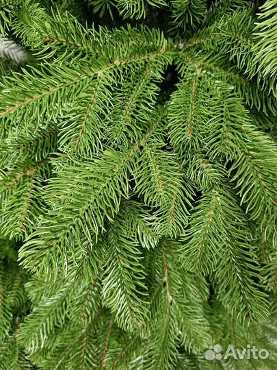 Елка Новогодняя 