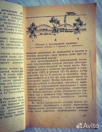 Календарь Сибирского садовода 1983г