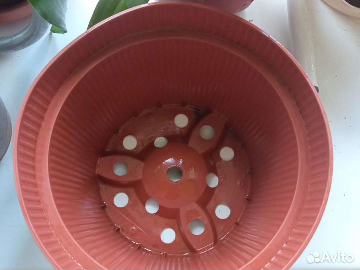 Горшки для цветов. Продам/обменяю на отросток