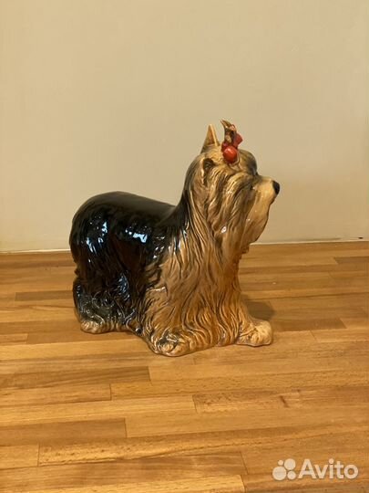 Goebel йоркширское терьеры