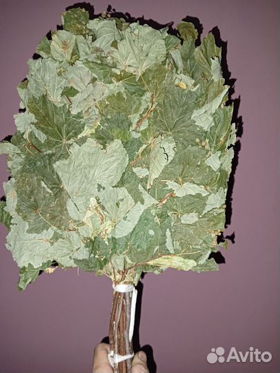 Банные веники высший сорт