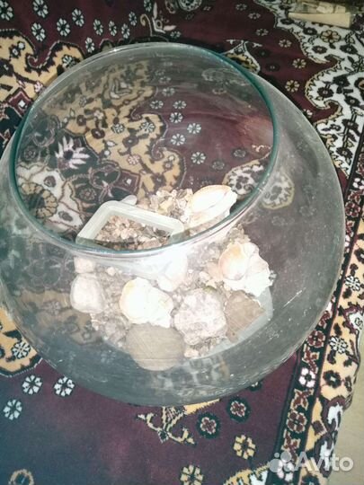 Аквариум для рыбок