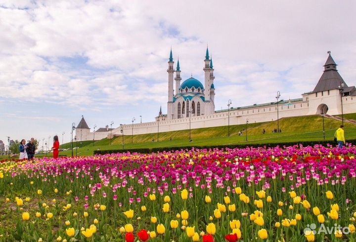 Автобусные туры