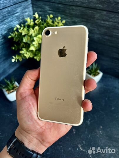 iPhone 7, 32 ГБ