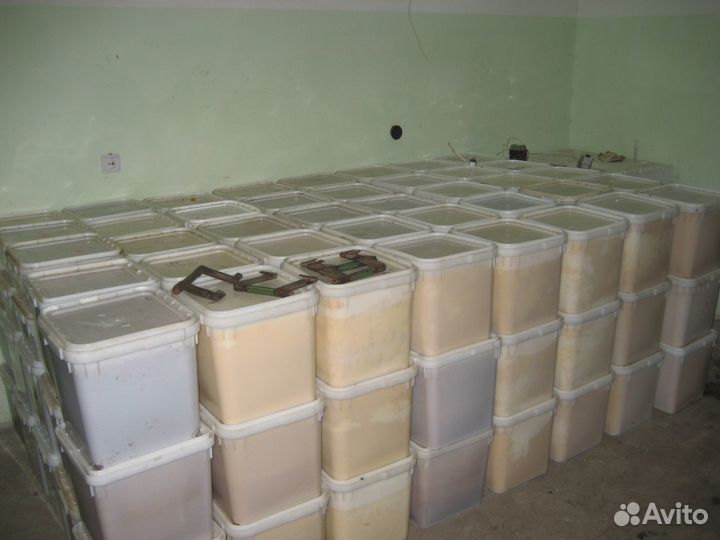 Цветочный мёд оптом от 34 кг