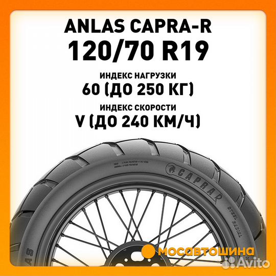 Anlas Capra-R 120 70 19 60V