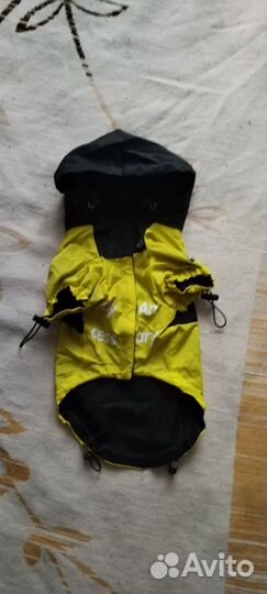 Одежда для маленьких собак