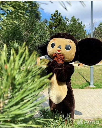 Аниматоры/Праздники/Краснодар