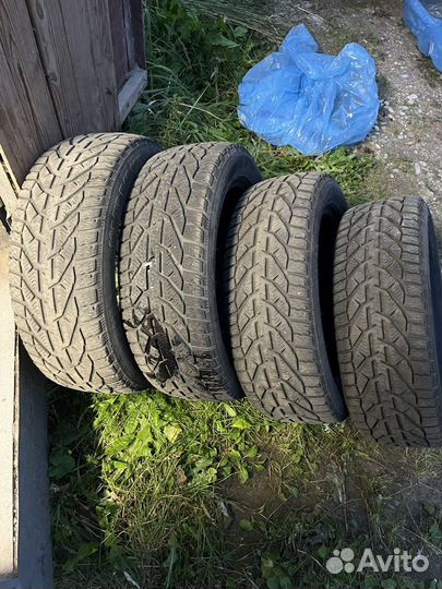 Tigar Winter 195/55 R16