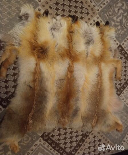 Шкурки трёх лис, сшитые