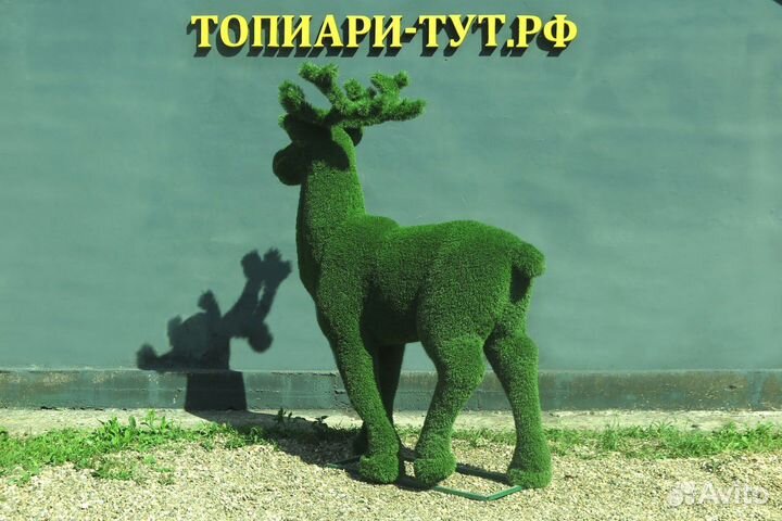 Топиари Топиарные фигуры Садовые фигуры