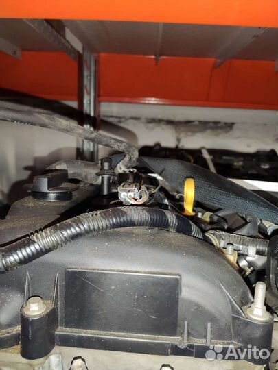 Двигатель 2.0 LF Mazda Мазда