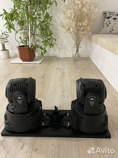 LED wash mini 7x12 Shehds + стойка