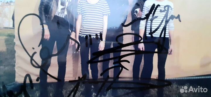 Автограф The horrors