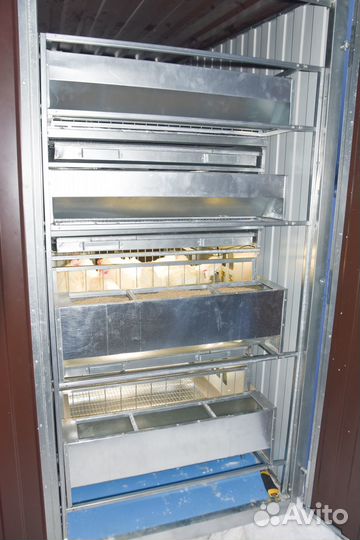 Курятник для клеточного содержания кур-несушек