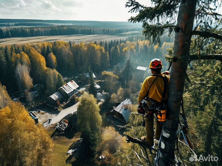 Удаление деревьев. Расчистка участков