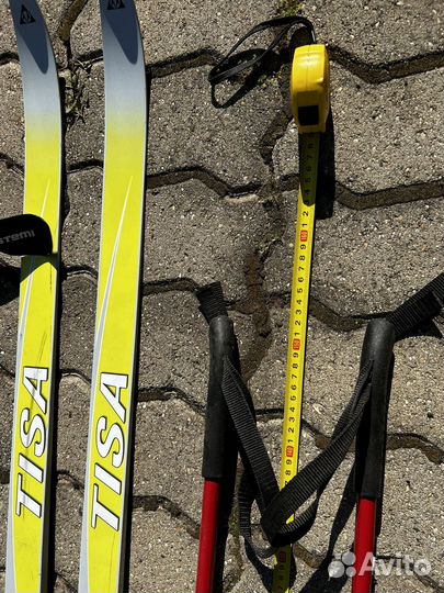 Беговые лыжи tisa top 197/n908